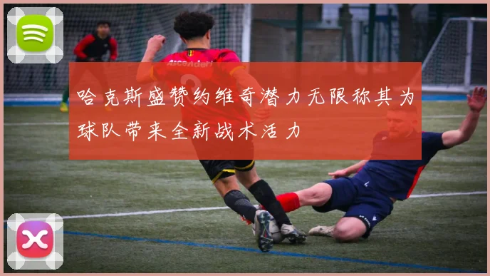 哈克斯盛赞约维奇潜力无限称其为球队带来全新战术活力