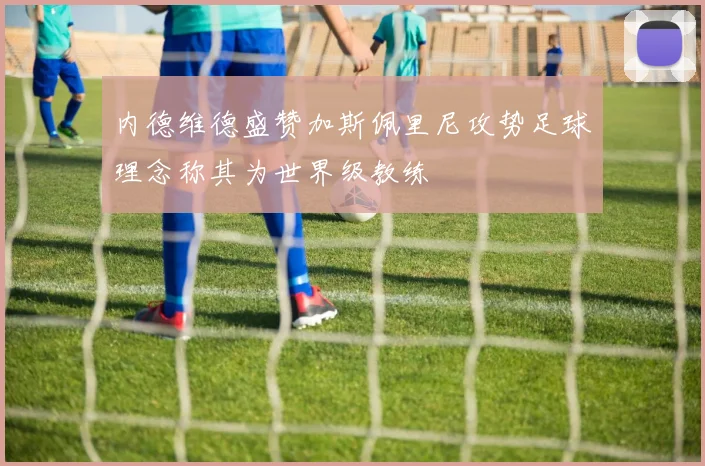 内德维德盛赞加斯佩里尼攻势足球理念称其为世界级教练