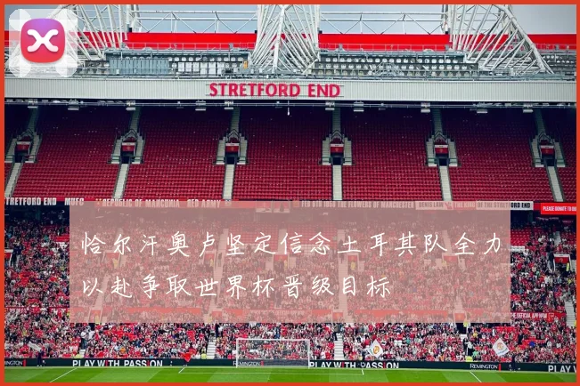 恰尔汗奥卢坚定信念土耳其队全力以赴争取世界杯晋级目标