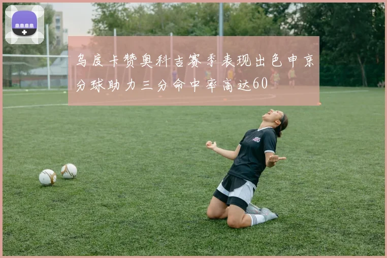 乌度卡赞奥科吉赛季表现出色申京分球助力三分命中率高达60